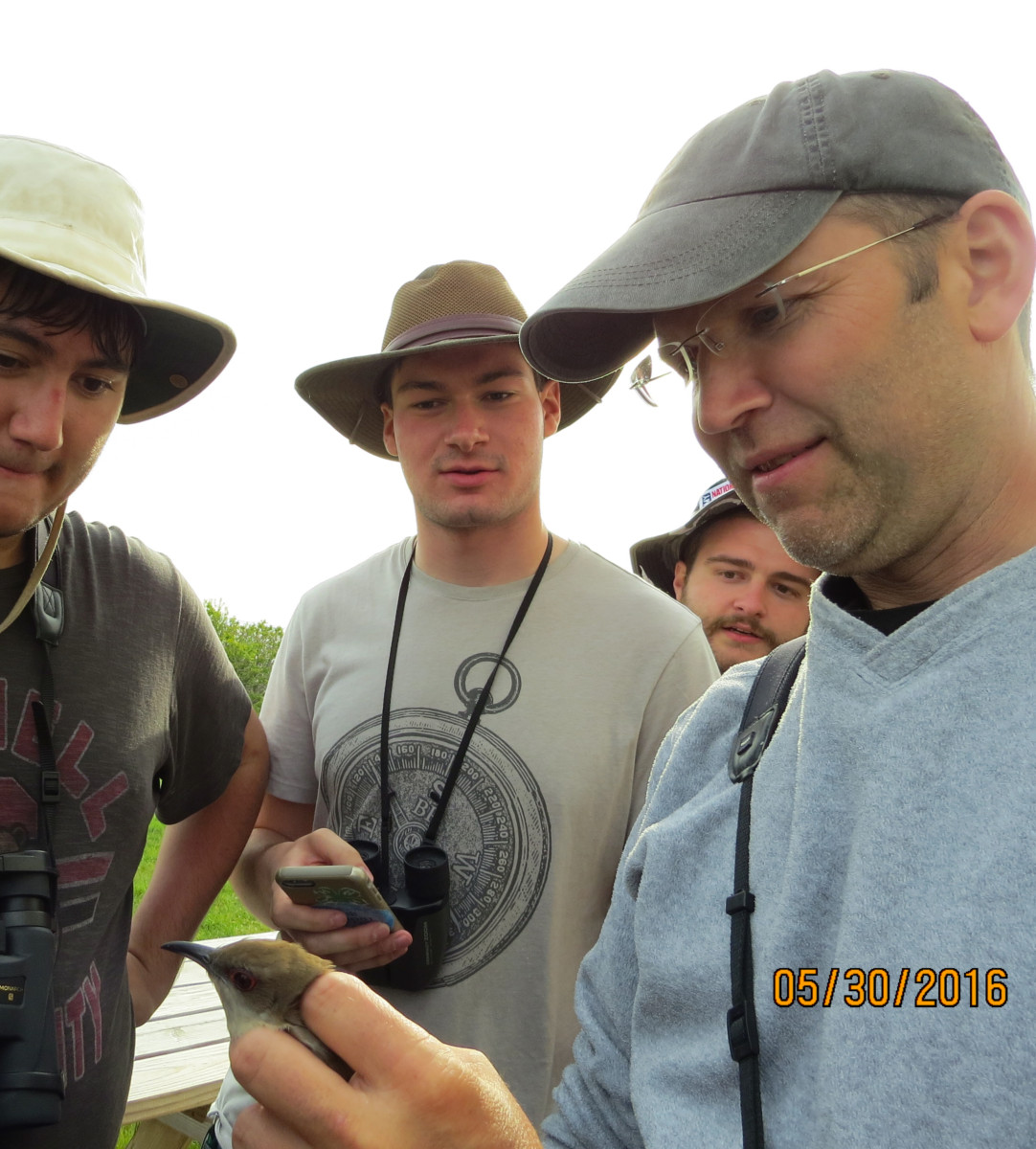David Bonter and Field Ornithology students enjoying a rare occurrence