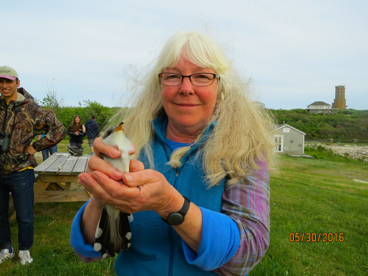 Sally and the third-spring-record Yellow-billed Cuckoo she extracted