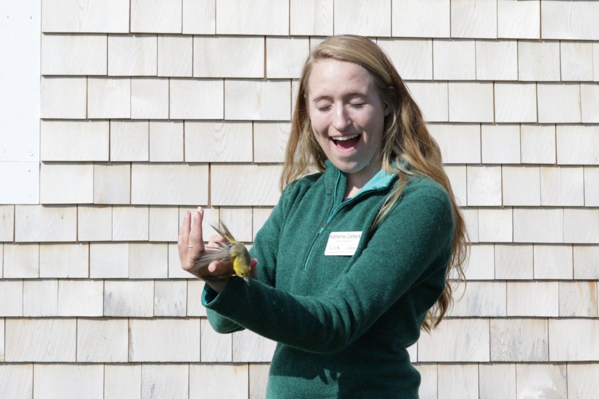 Katherine releases an Orchard Oriole.*