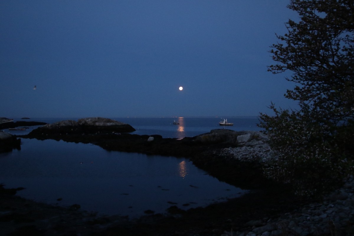 Island moonset, early Saturday morning
