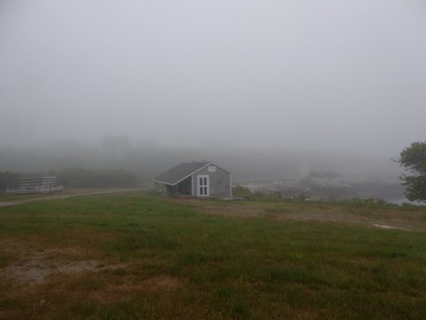 Foggy morning on Appledore